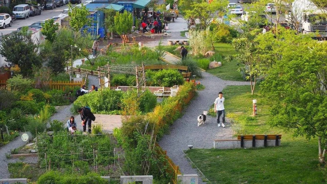 社区花园。让附近居民可以在社区花园里种瓜果蔬菜